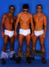 boxer002.jpg (42137 octets)