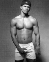 boxer003.gif (89278 octets)