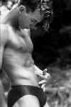boxer004.jpg (33811 octets)