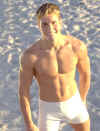 boxer006.jpg (40357 octets)
