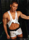 boxer009.jpg (74520 octets)