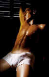 boxer012.jpg (21020 octets)