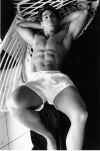 boxer013.jpg (31750 octets)