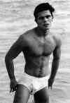 boxer014.jpg (22625 octets)