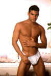 boxer016.jpg (14326 octets)