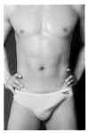 boxer018.jpg (11502 octets)
