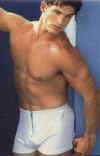 boxer01.jpg (17374 octets)