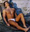 boxer020.jpg (70442 octets)