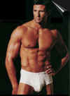 boxer024.jpg (32175 octets)