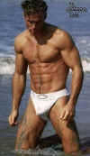 boxer027.jpg (60113 octets)