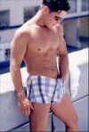 boxer028.jpg (29002 octets)