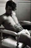 boxer036.jpg (29122 octets)