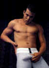 boxer03.jpg (24860 octets)