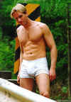 boxer043.jpg (29520 octets)