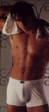 boxer045.jpg (17987 octets)