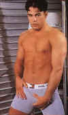 boxer048.jpg (12295 octets)