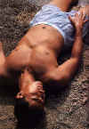 boxer051.jpg (71881 octets)