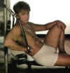 boxer06.jpg (23328 octets)