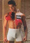 boxer07.jpg (23671 octets)