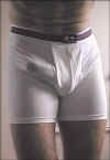boxer09.jpg (9051 octets)